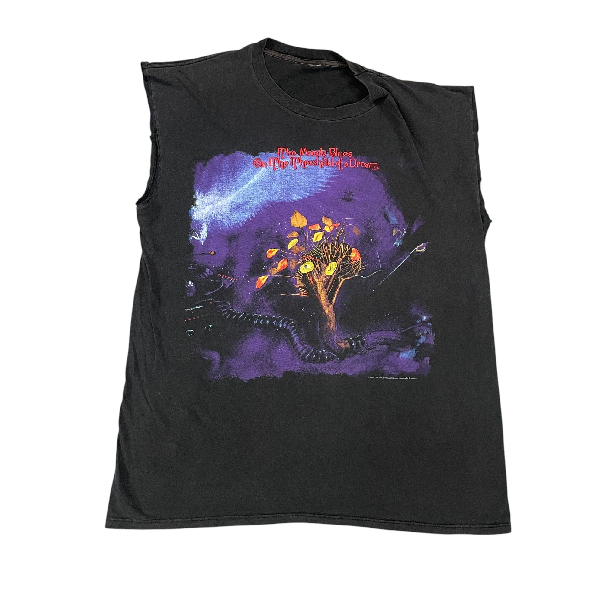 90s The Moody Blues "Threshold of a Dream" 1993 Vintage Band T-Shirt Cut