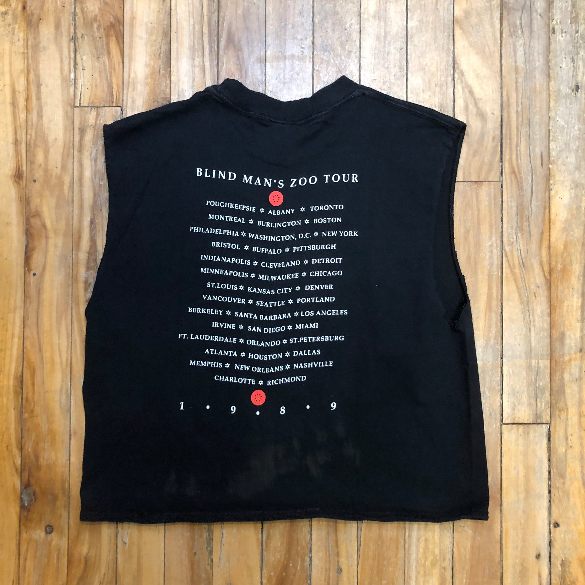 🖤 1989 10,000 Maniacs "Blind Man's Zoo" Tour Vintage Made In U.S.A. Single-Stitch Graphic Tank Tee Size L T-Shirts Public Butter