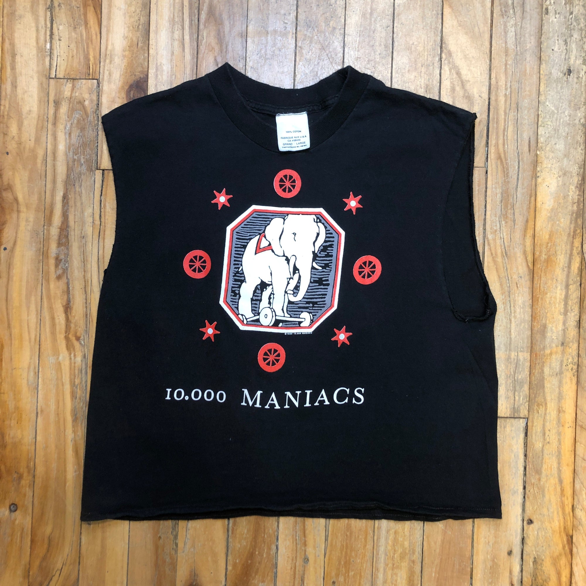🖤 1989 10,000 Maniacs "Blind Man's Zoo" Tour Vintage Made In U.S.A. Single-Stitch Graphic Tank Tee Size L T-Shirts Public Butter