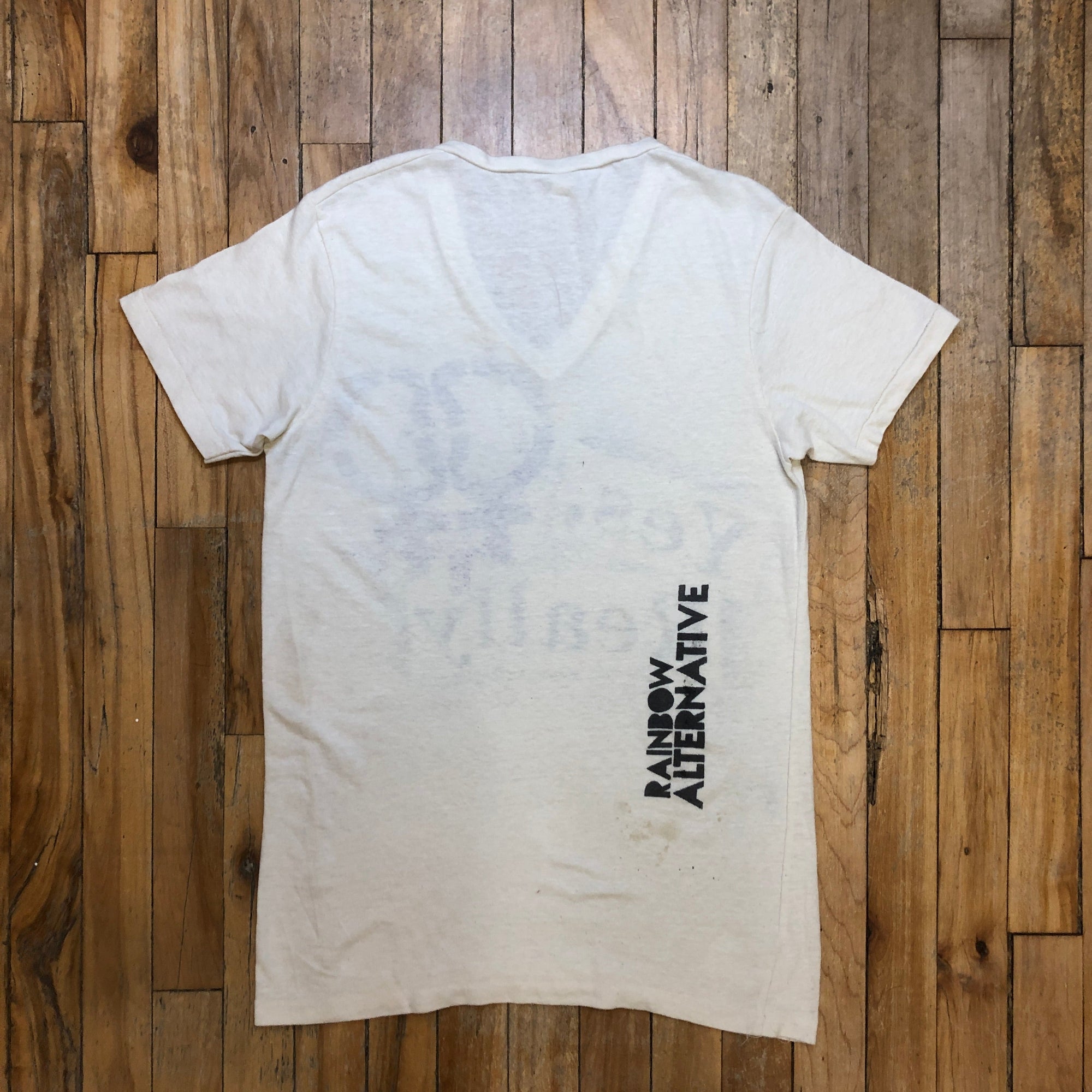 LGBT "Yes, Really" Rainbow Alternative Single Stitch Vintage Graphic V-Neck T-Shirt Size Small T-Shirts Public Butter